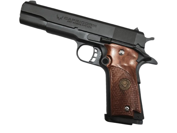 New_Project__9_-removebg-preview