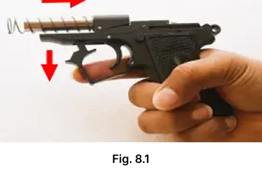 fig-8.1